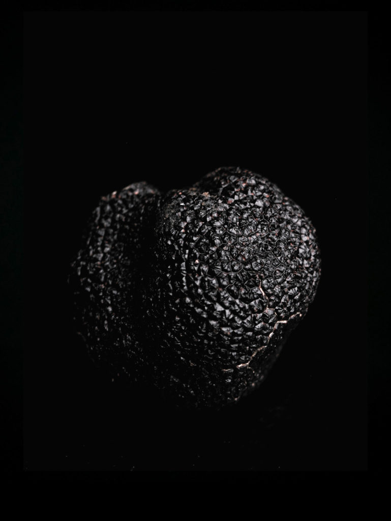 Truffe noire sur fond noir