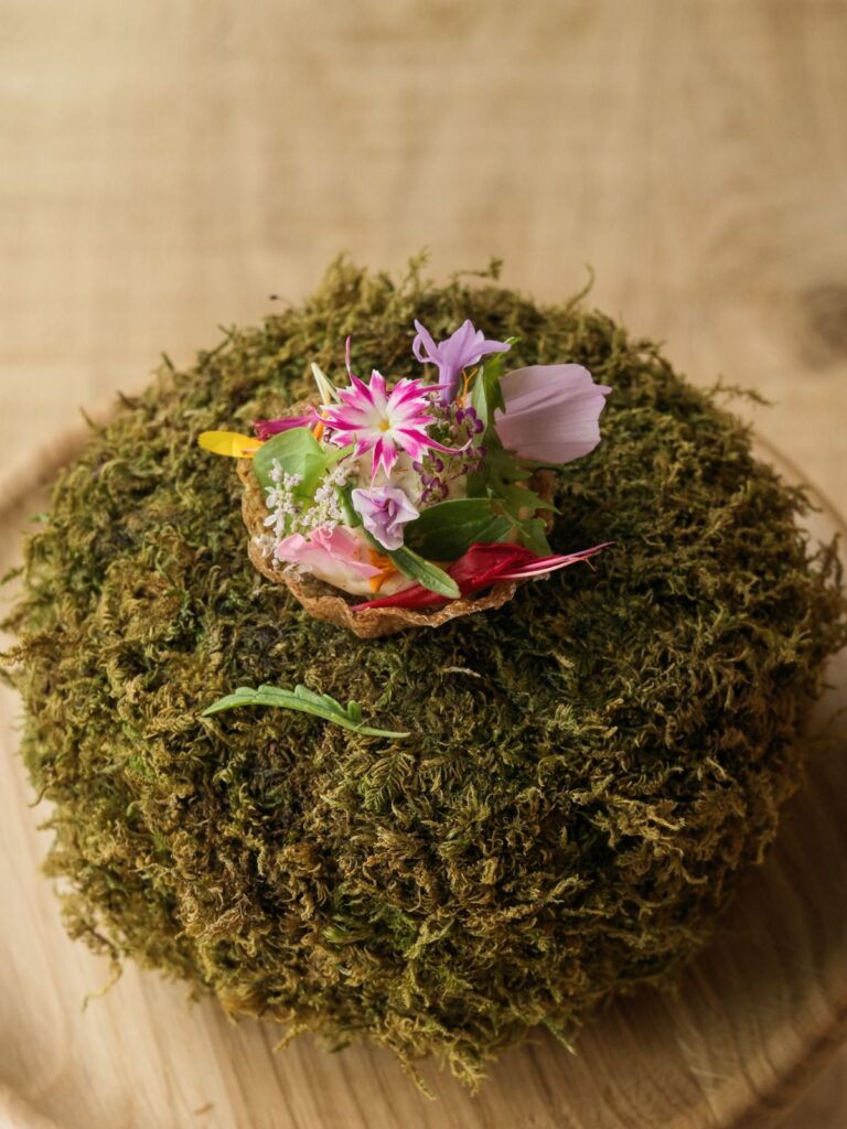 Assiette dressée sur un lit de mousse, Maison Saint-Crescent