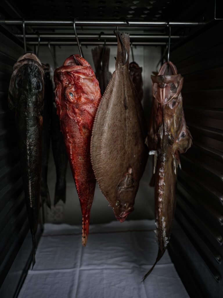 Poissons en maturation suspendus, Maison Saint-Crescent, Lionel Giraud